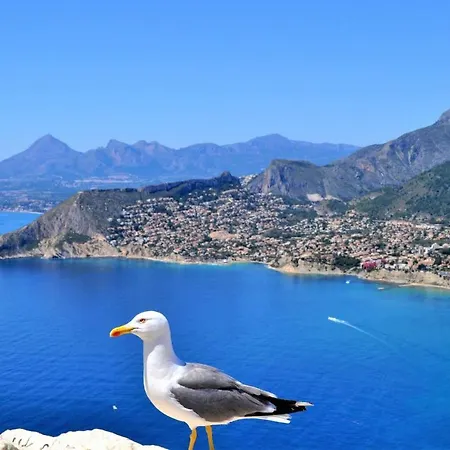 Maryvilla1016 Villa Calpe